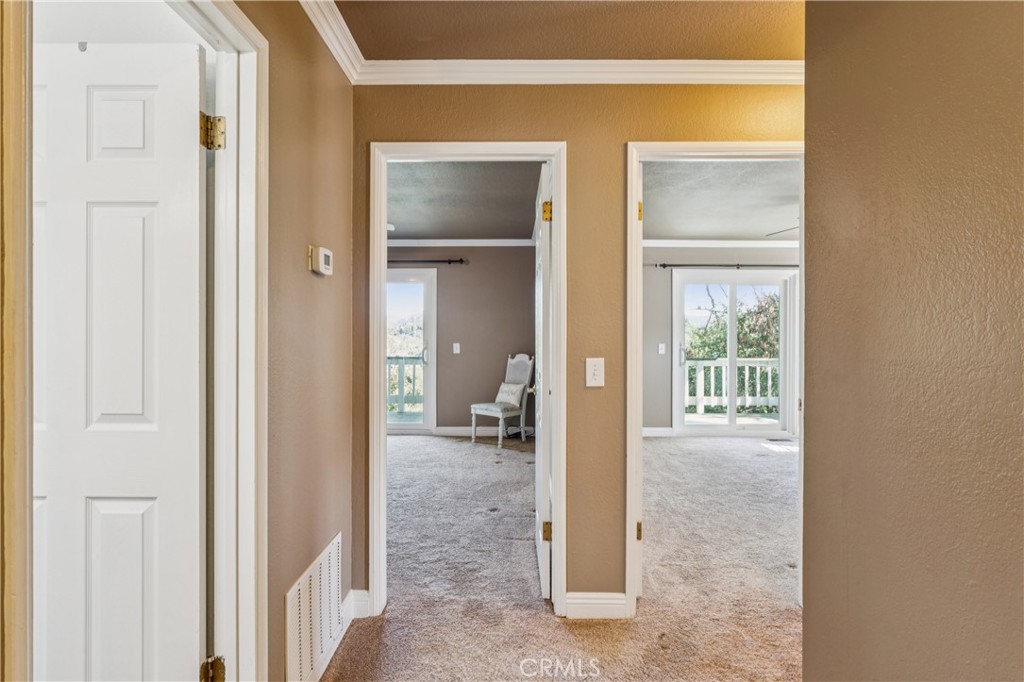 24798 Edelweiss Property Photo 28