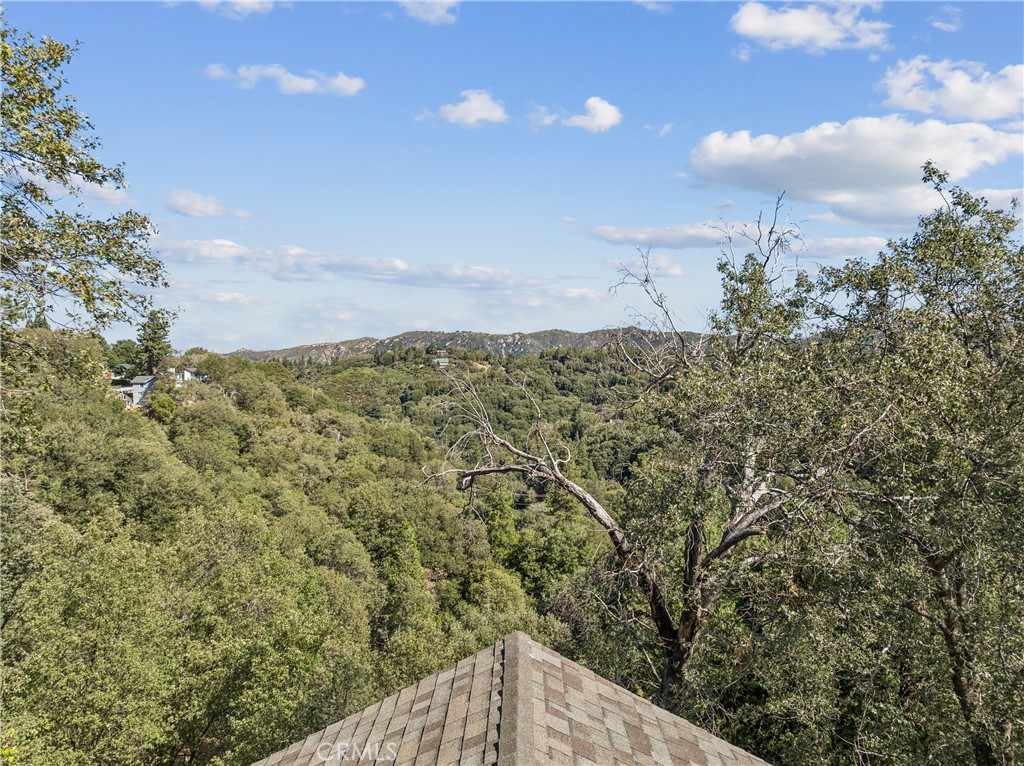 24798 Edelweiss Property Photo 34
