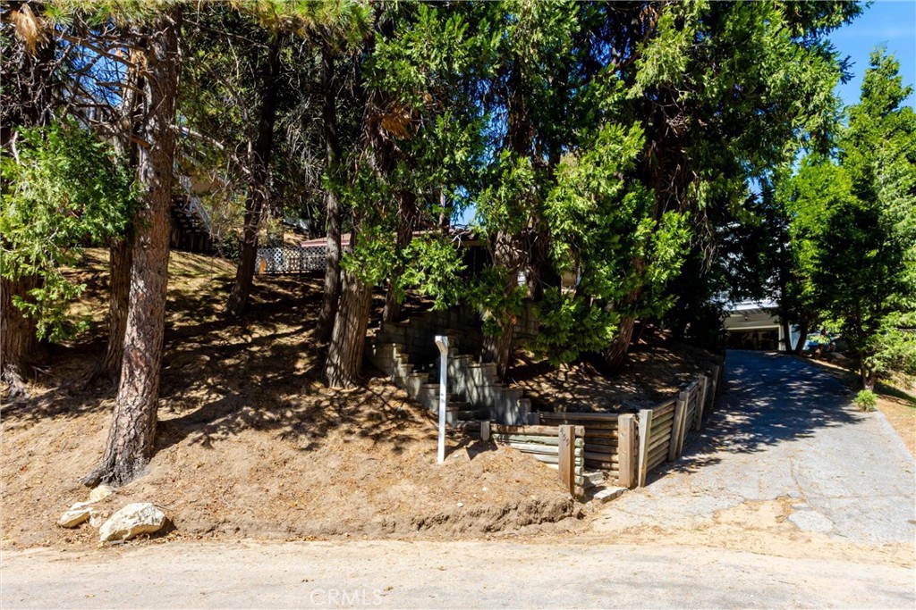 459 Delle Property Photo 22
