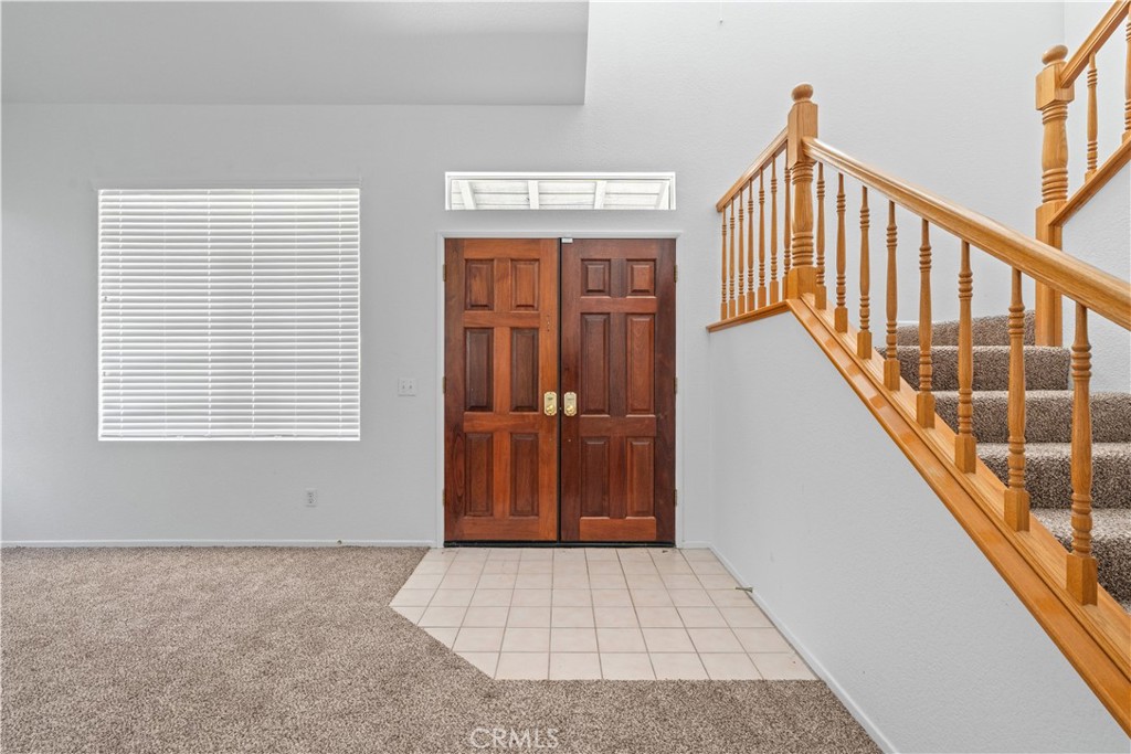 10011 Thornbird Court Property Photo 11
