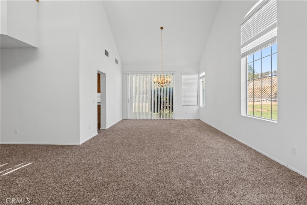 10011 Thornbird Court Property Photo 13