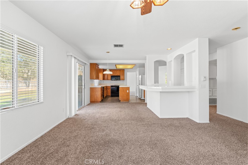 10011 Thornbird Court Property Photo 14