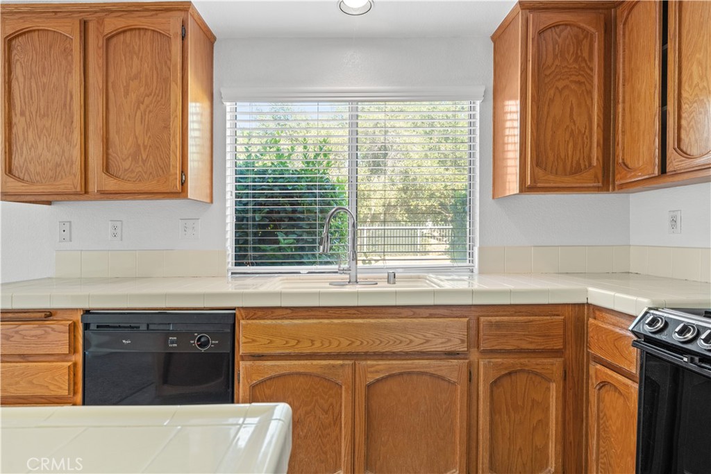 10011 Thornbird Court Property Photo 15