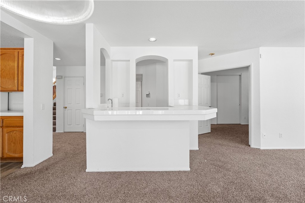 10011 Thornbird Court Property Photo 19