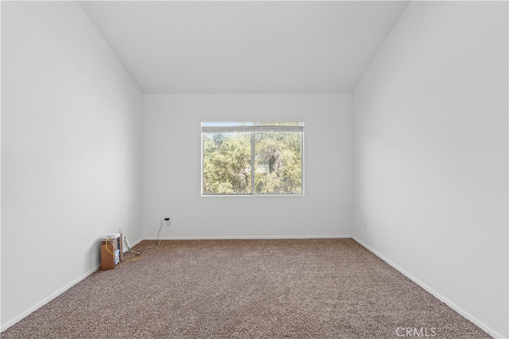 10011 Thornbird Court Property Photo 27