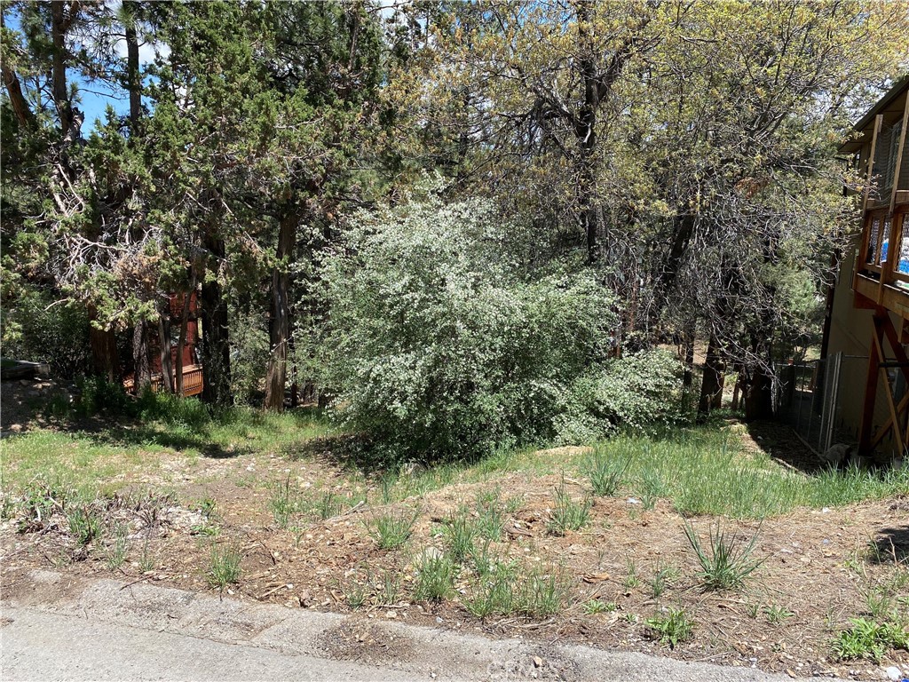 0 Imperial Avenue Property Photo 1