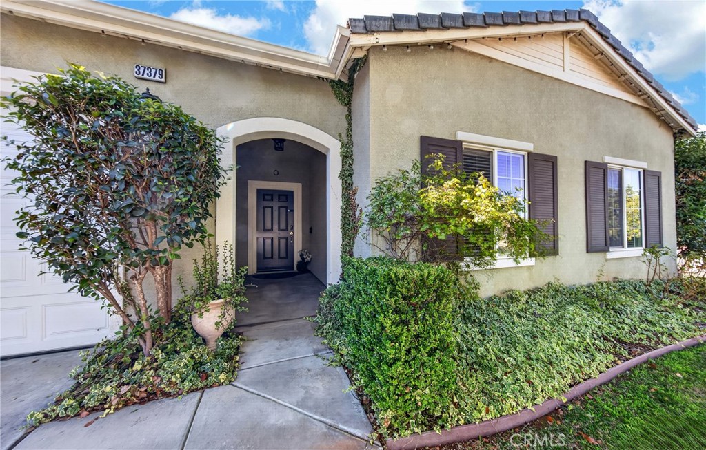 37379 Mulligan Property Photo 4