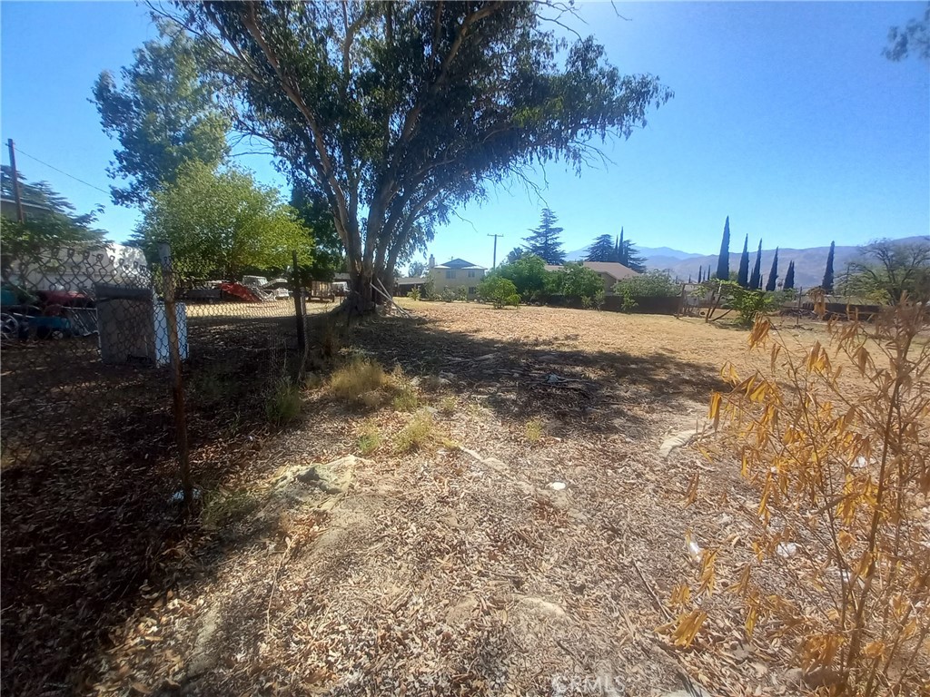 321 Park Property Photo 3