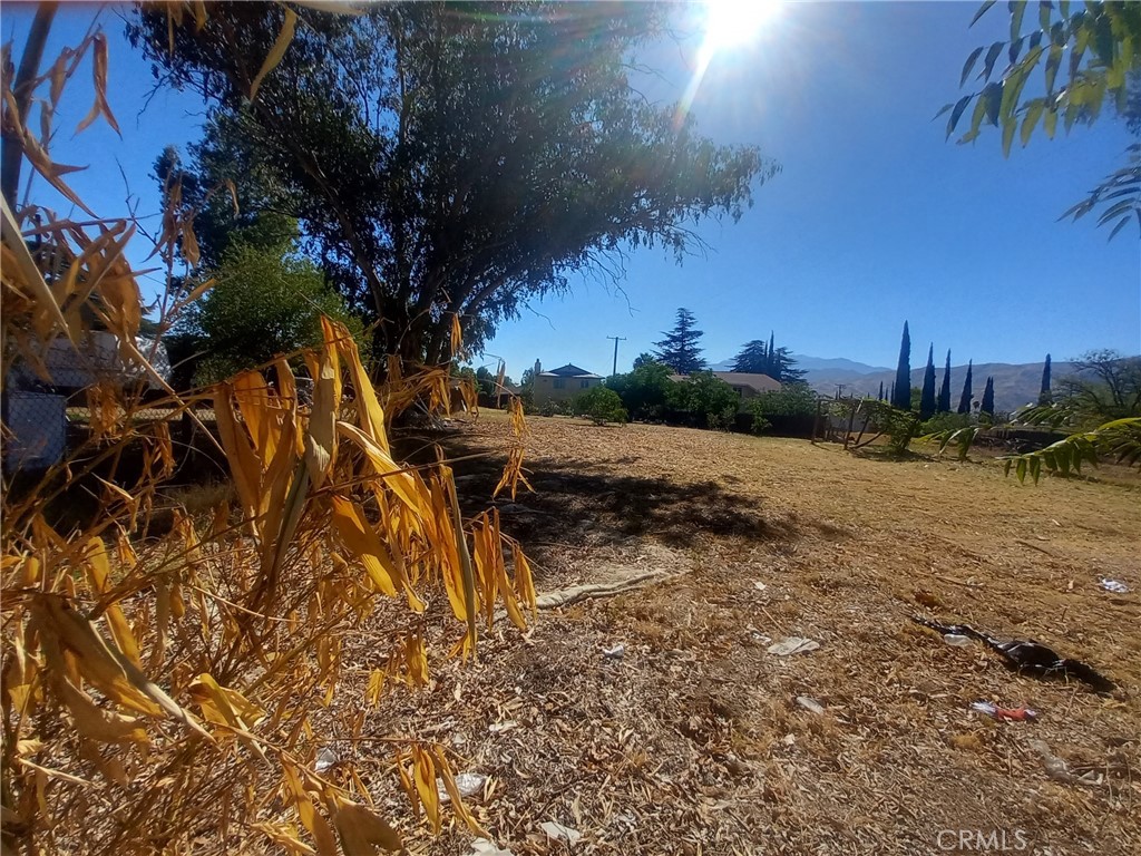 321 Park Property Photo 14