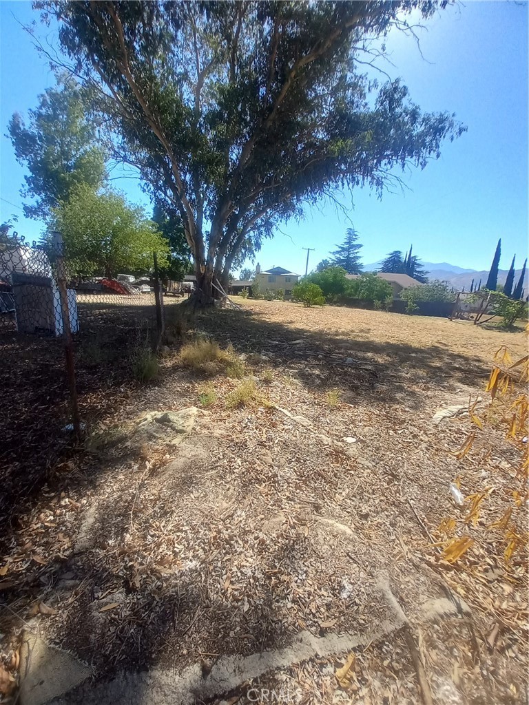 321 Park Property Photo 15
