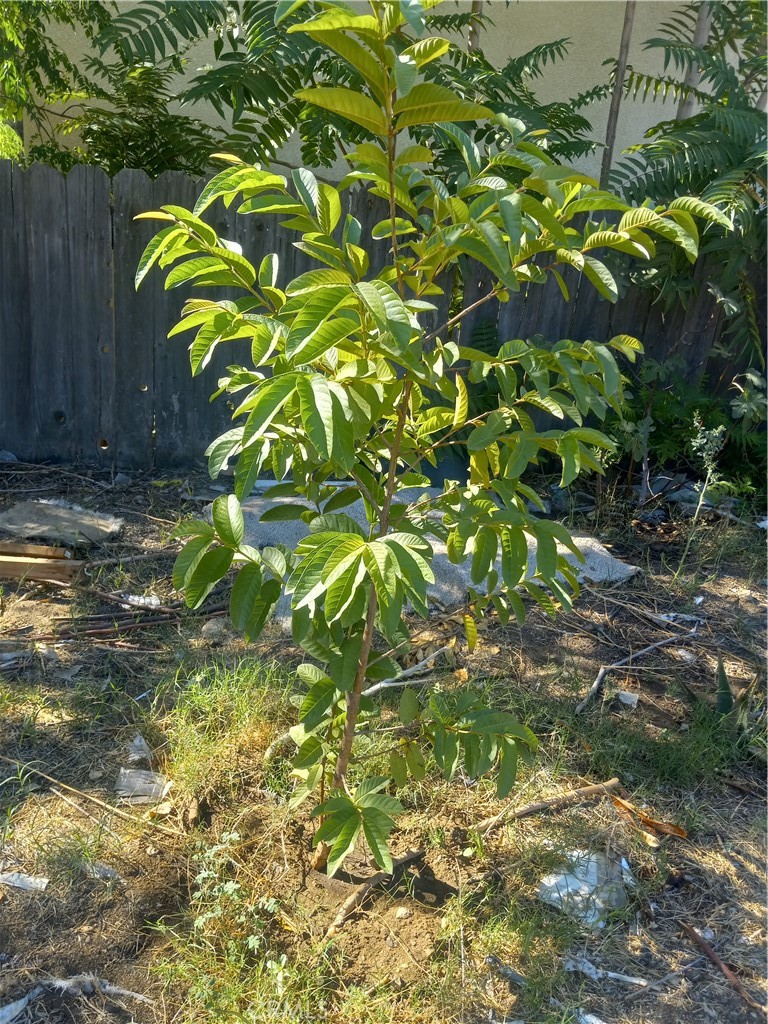 321 Park Property Photo 18