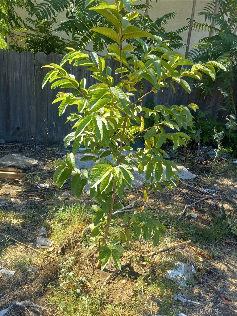 321 Park Property Photo 44