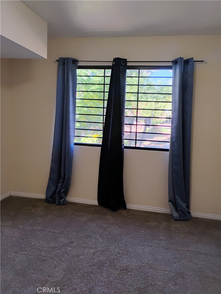 321 Park Property Photo 59