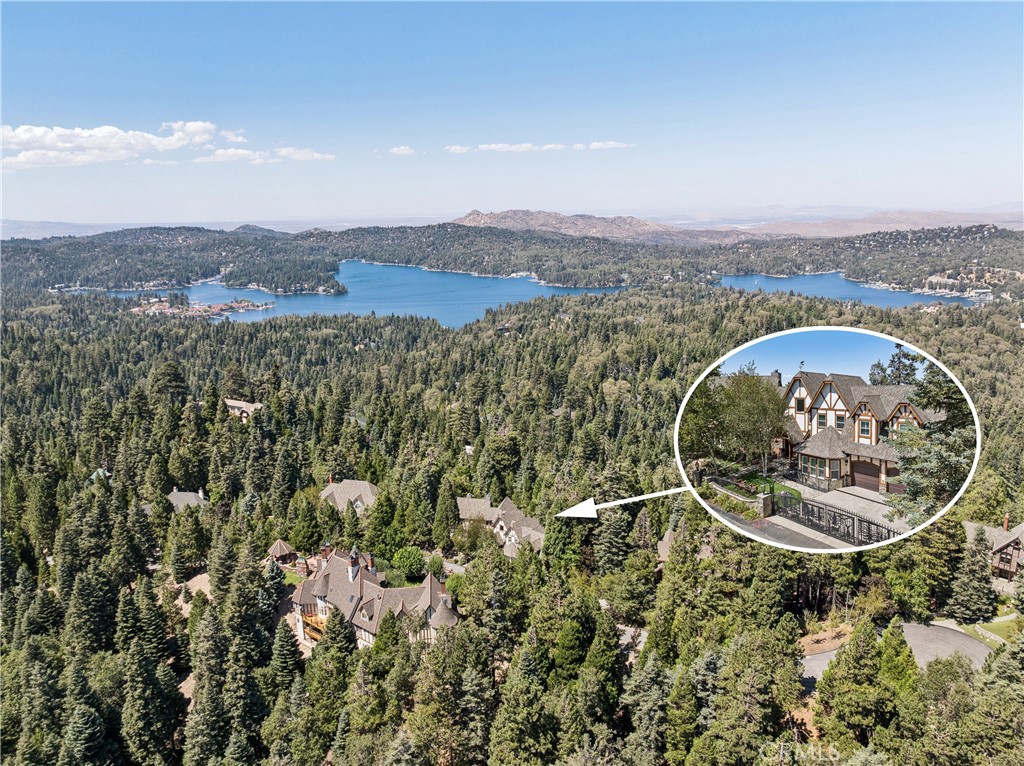 29104 Bald Eagle Ridge Property Photo 4