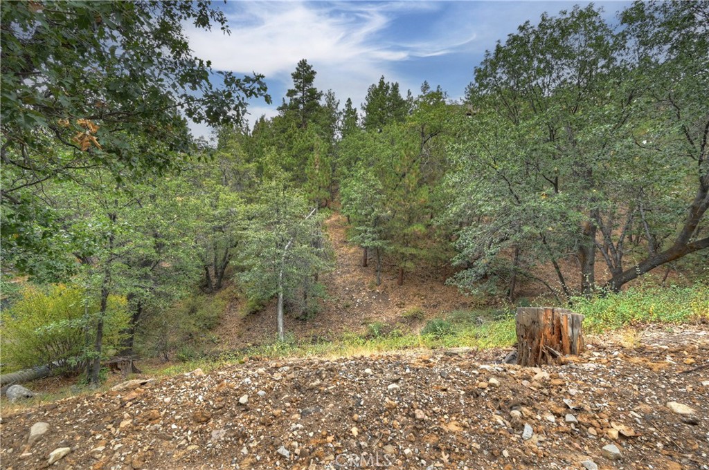 0 Minton Avenue Property Photo 1