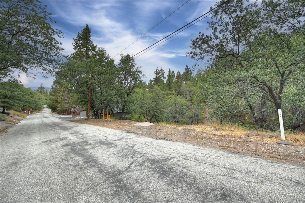 0 Minton Avenue Property Photo 3