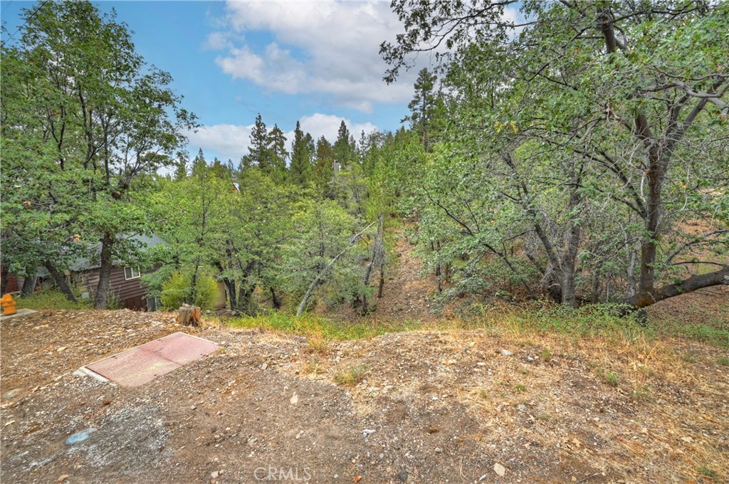 0 Minton Avenue Property Photo 4