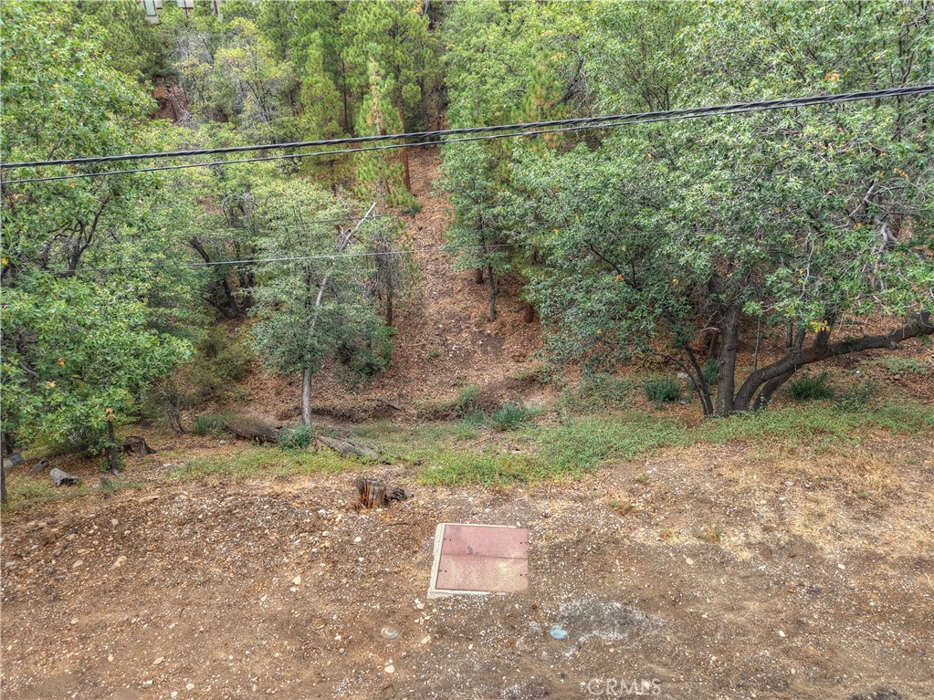 0 Minton Avenue Property Photo 5