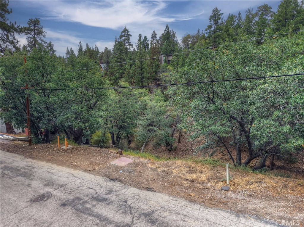 0 Minton Avenue Property Photo 6