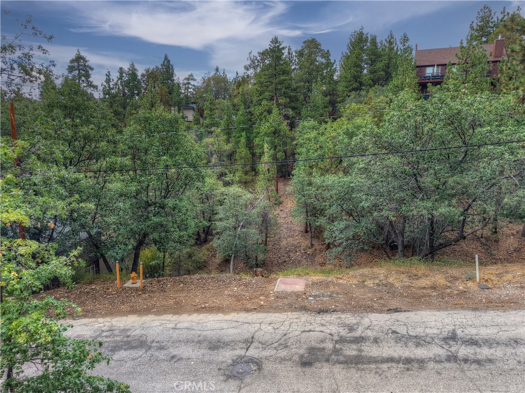 0 Minton Avenue Property Photo 7