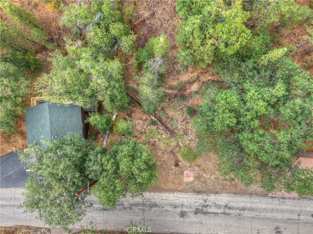 0 Minton Avenue Property Photo 9