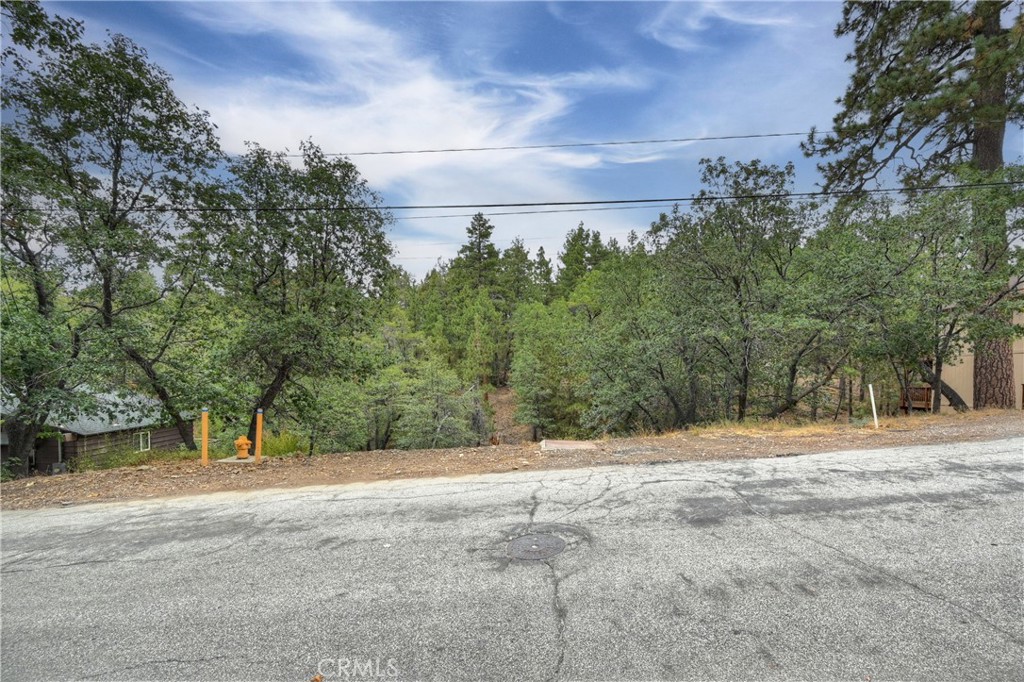 0 Minton Avenue Property Photo 13