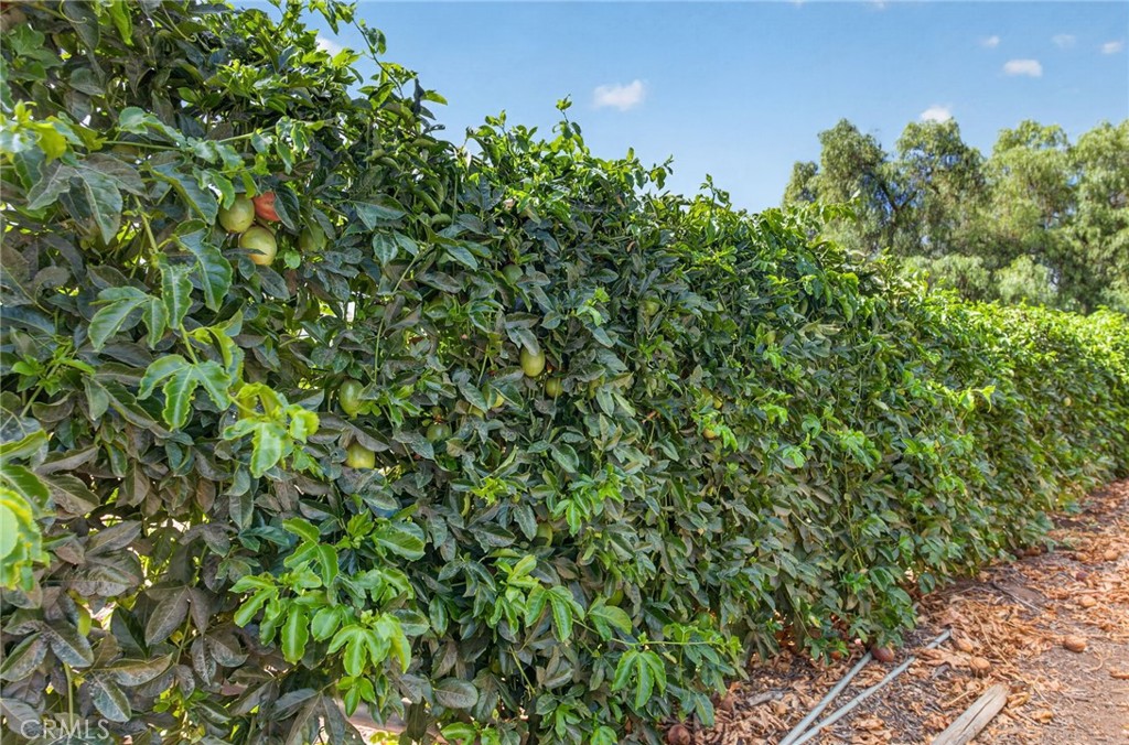 2801 E Mission Road Property Photo 53
