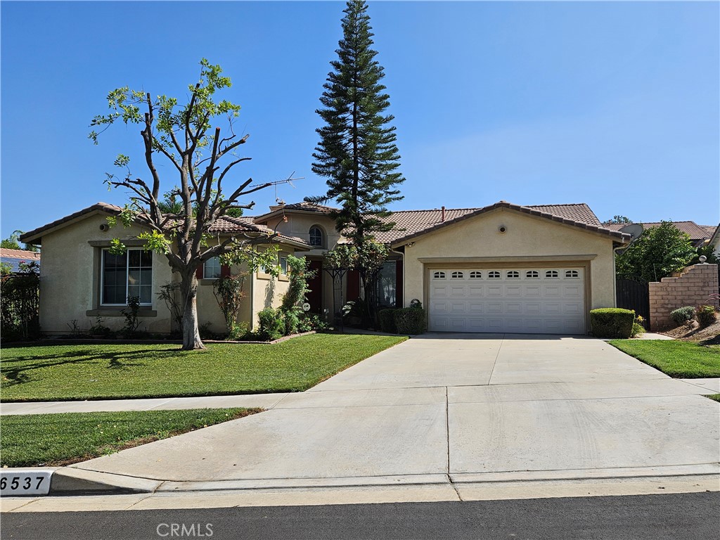 26537 Tanager Court Property Photo
