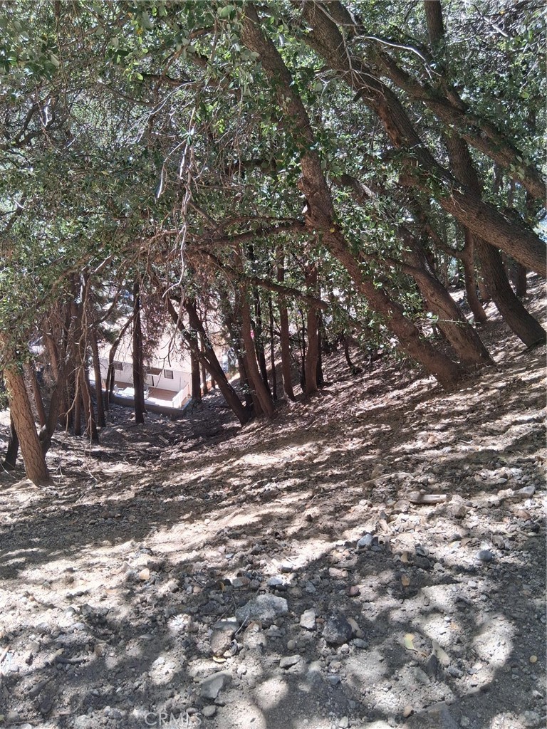 10 Delle Property Photo 1