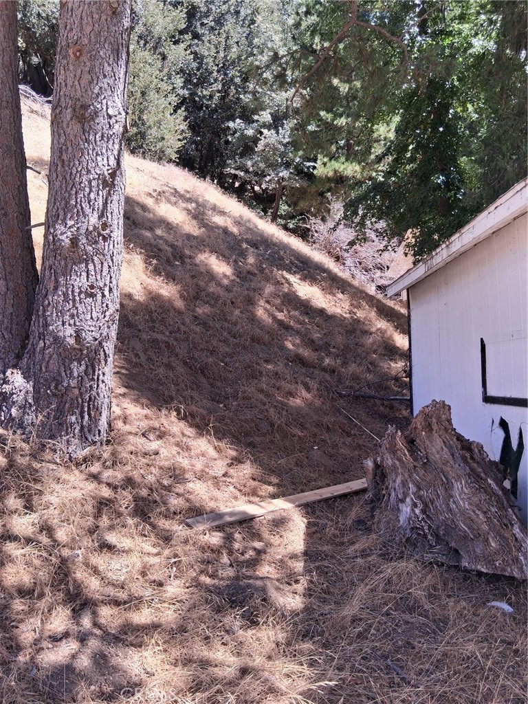 10 Delle Property Photo 2