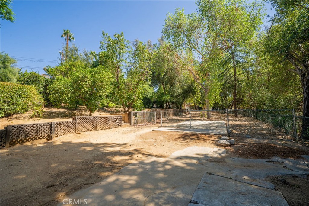 516 Marilyn Property Photo 52