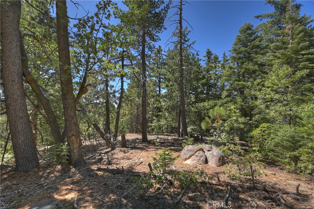 0 Cobblestone Property Photo 6