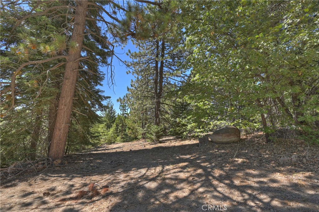 0 Cobblestone Property Photo 7