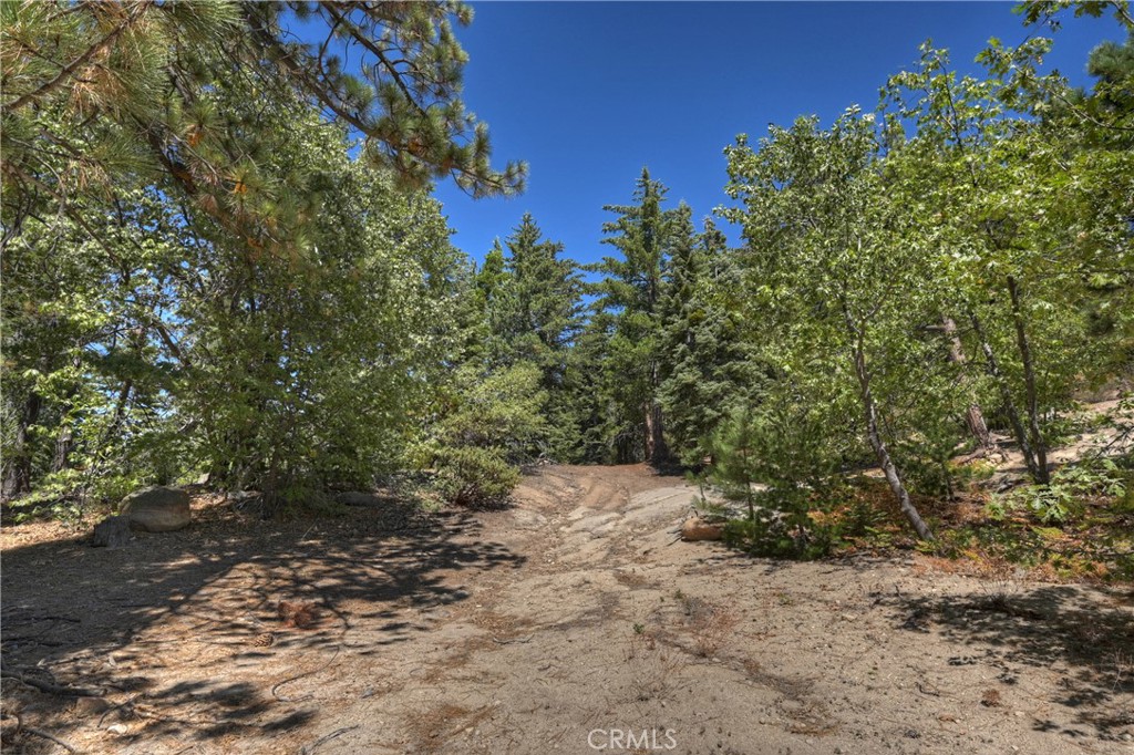 0 Cobblestone Property Photo 8