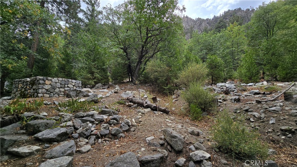 9256 Wood Property Photo 13