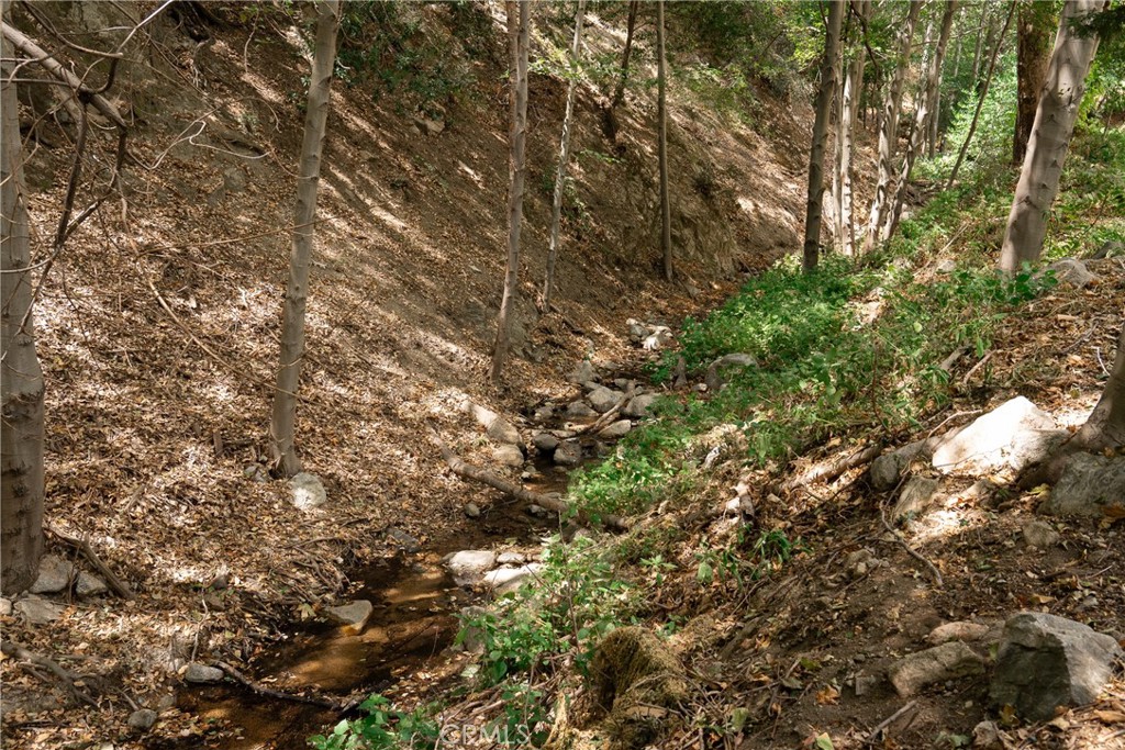 1820 Old Waterman Canyon Property Photo 37