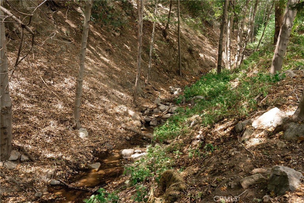 1820 Old Waterman Canyon Property Photo 37