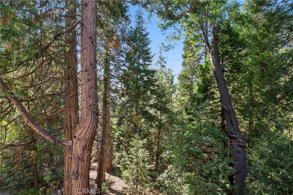 296 Grass Valley Property Photo 33