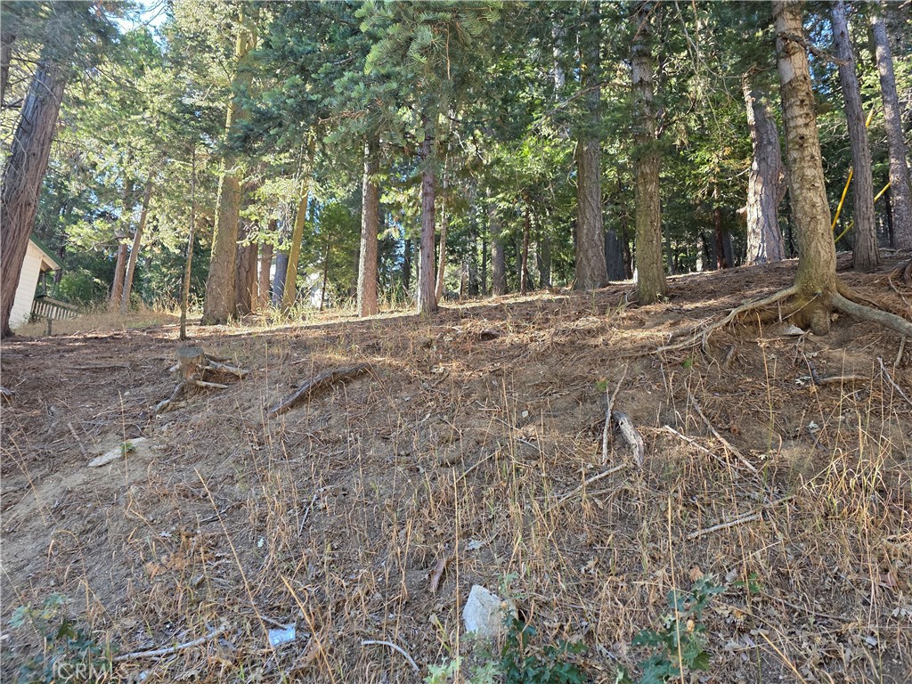 0 Altdorf Property Photo 1