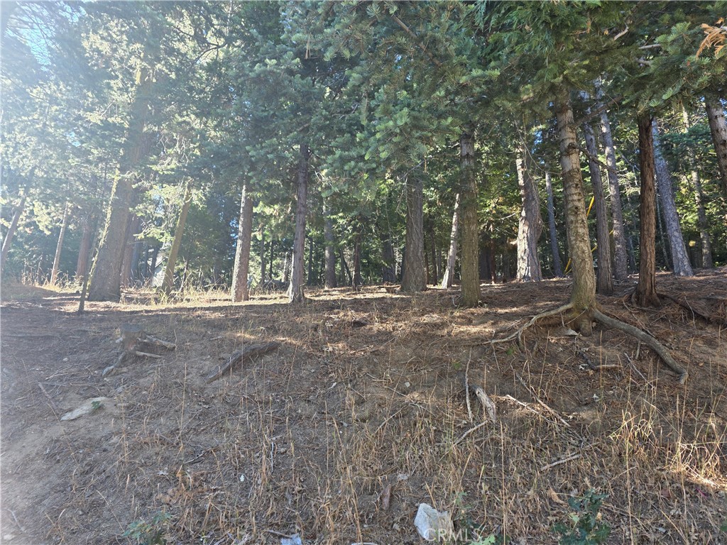 0 Altdorf Property Photo 2