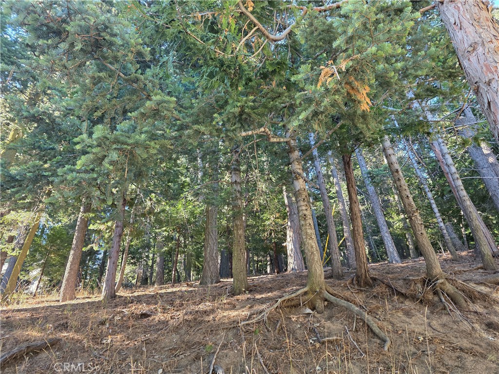 0 Altdorf Property Photo 3