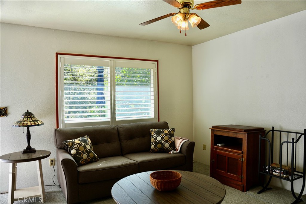 22911 Redwood Property Photo 6