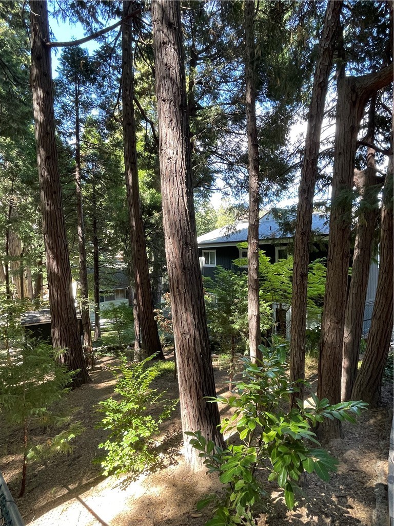 24379 San Moritz Property Photo 29