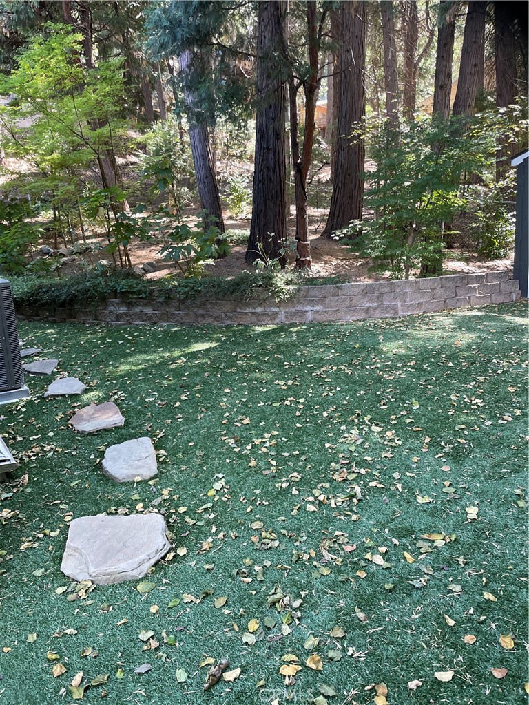 24379 San Moritz Property Photo 30