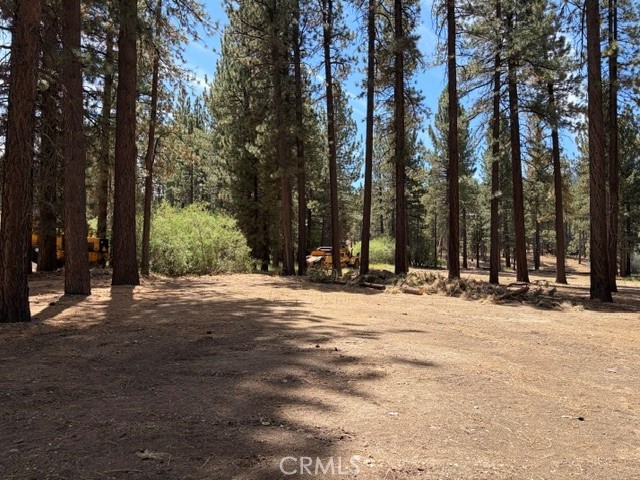 42280 Moonridge Property Photo 4