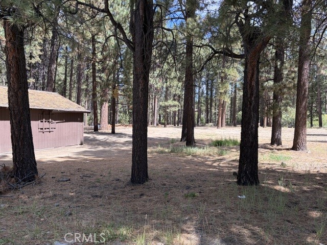 42280 Moonridge Property Photo 6