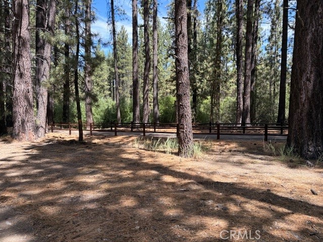 42280 Moonridge Property Photo 12