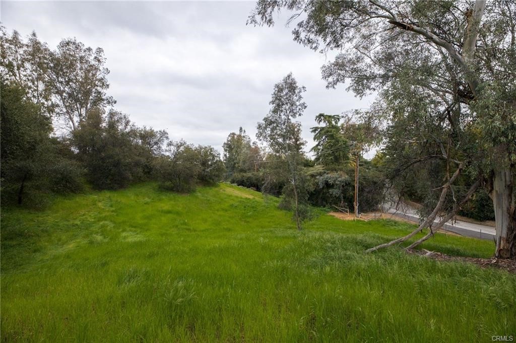 1702 Dwight Property Photo 6