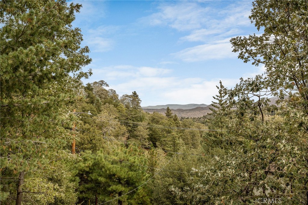 1284 Cortina Property Photo 4