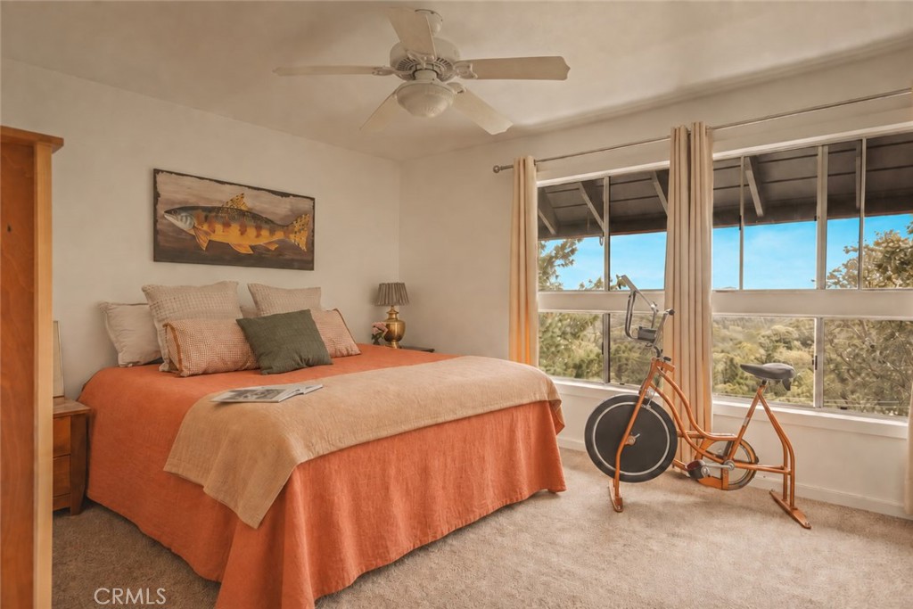 1284 Cortina Property Photo 14
